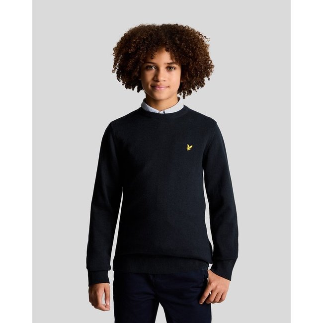 Pull en coton col rond bleu foncé marine <span itemprop=