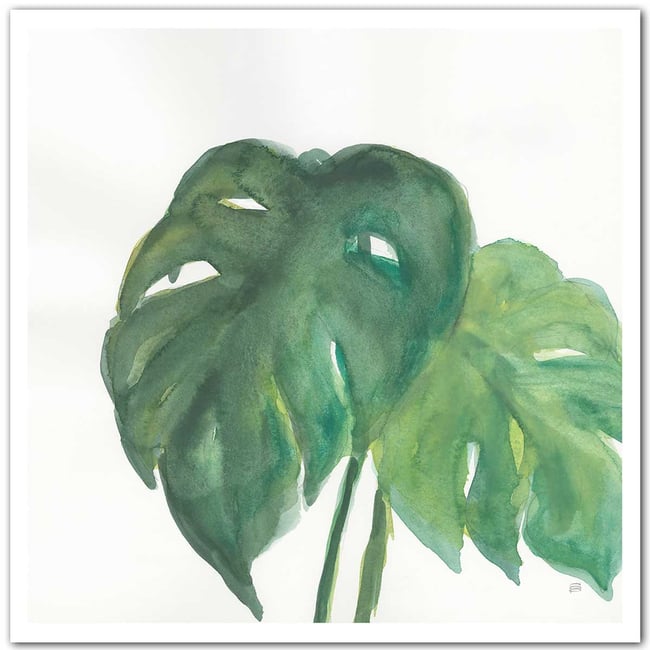 Affiche Plante monstera watercolor - HEXOA