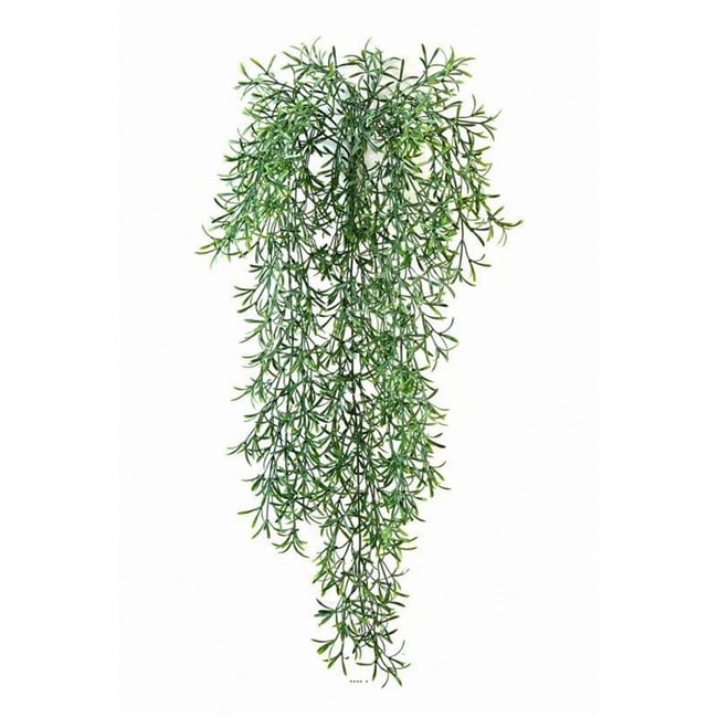 Feuillage factice Asparagus Sauvage en Couleur v002239 <span itemprop=