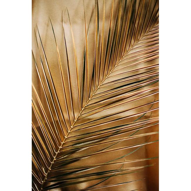 Tableau golden palm - HEXOA