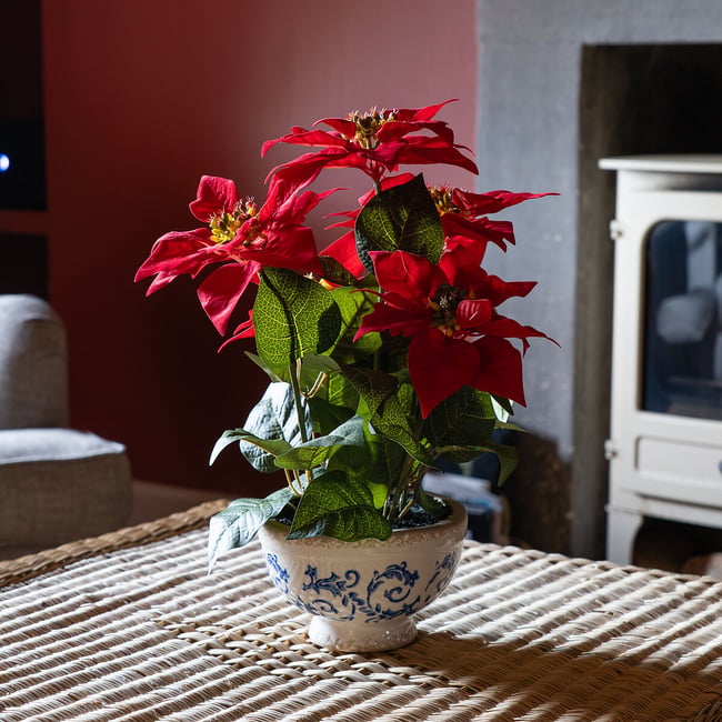 43cm Poinsettia in Traditional Pot, red, SO'HOME