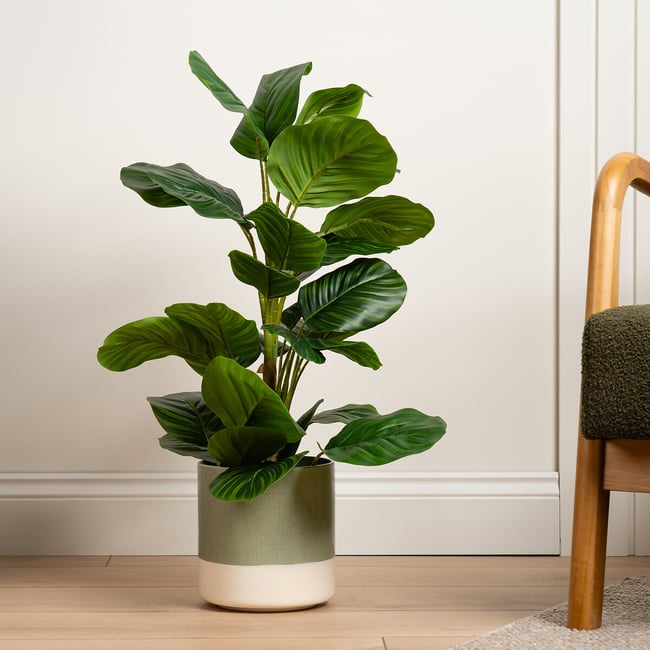 70cm Artificial Real Touch Arrowroot and Maranta Plant, green, SO'HOME