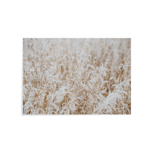 Poster Nature Winter 4 Couleur blanc <span itemprop=
