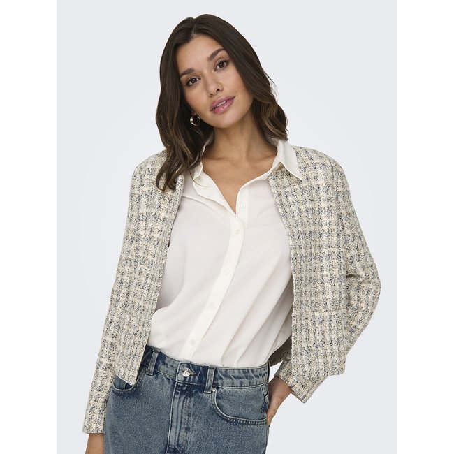 Veste courte en tweed gris clair/lurex argent <span itemprop=