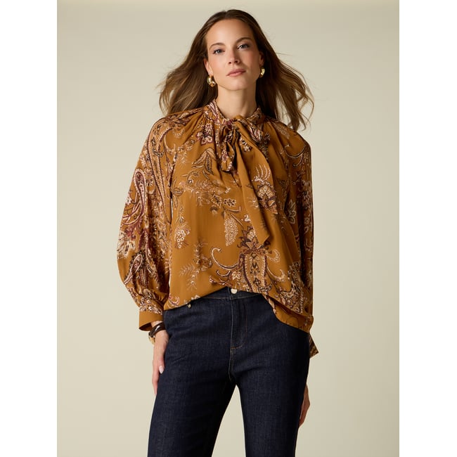 Blouse fantaisie à volants marron <span itemprop=