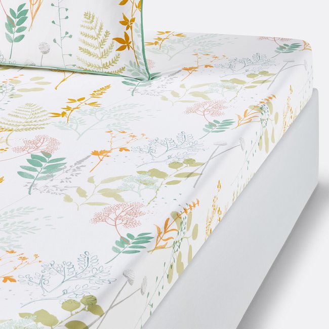 Drap housse percale de coton, Herbarium imprimé fond blanc LA REDOUTE INTERIEURS