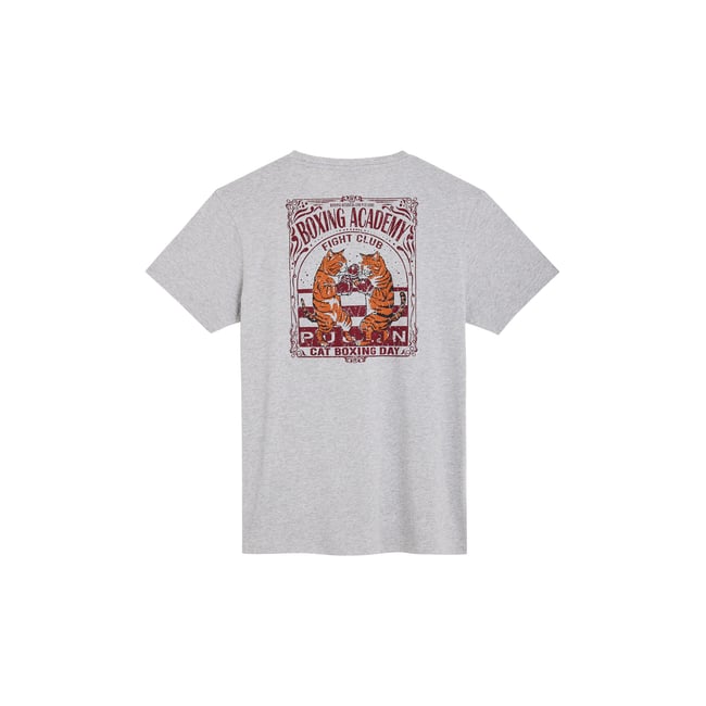 TSHIRT CATBOX gris <span itemprop=