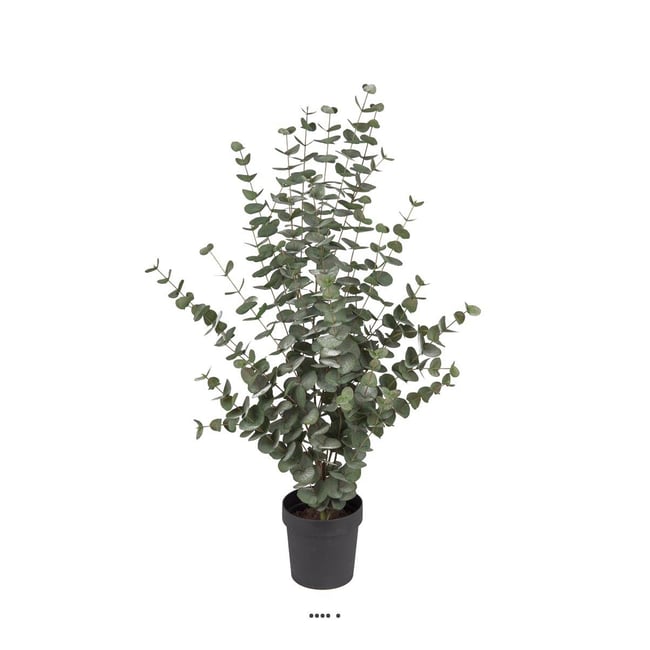 Eucalyptus cinerea artificiel en pot H 110 cm Couleur blanc <span itemprop=