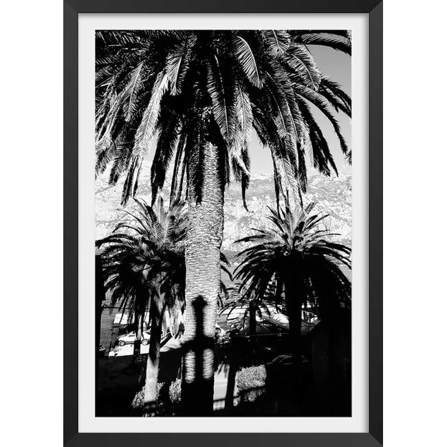 Affiche noir et blanc palmiers monténégro - HEXOA