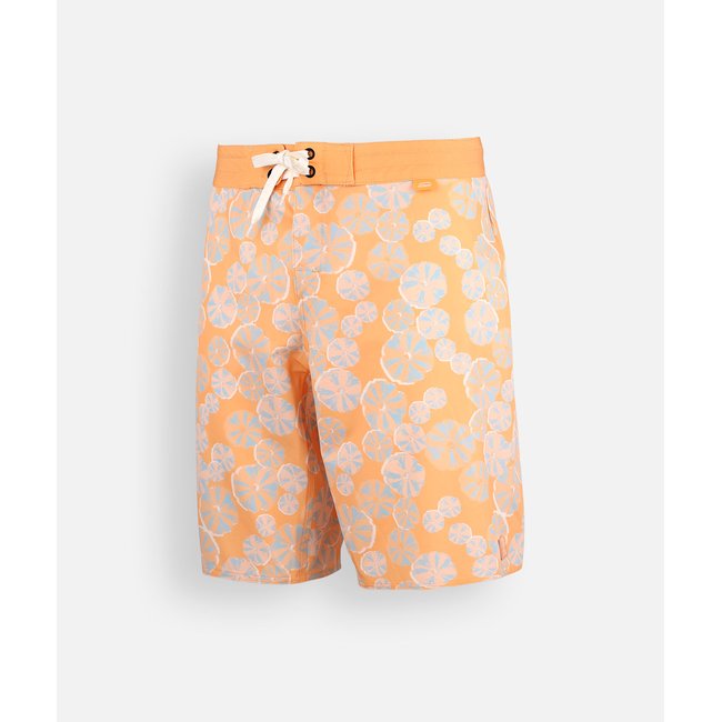 Boardshort SWELL corail <span itemprop=