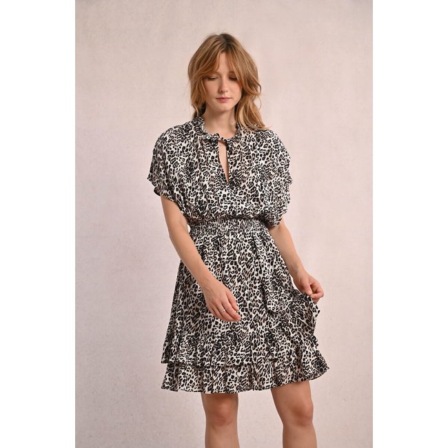 Robe courte imprimée manches courtes  imprimé léopard <span itemprop=