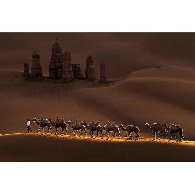 Tableau desert du Kumtag - HEXOA