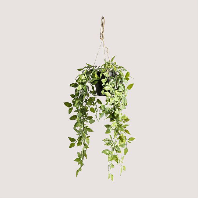 Artificial Hanging Scindapsus, green, ÉDITÉ