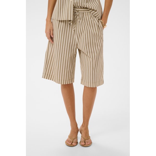 Shorts Casual coupe droite vert dusky green stripe <span itemprop=