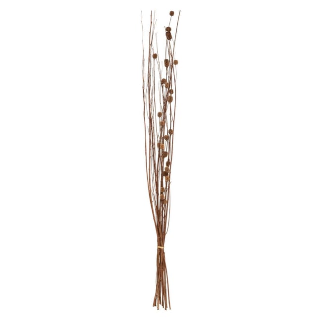 Fleurs séchées naturelles KANI Couleur blanc <span itemprop=