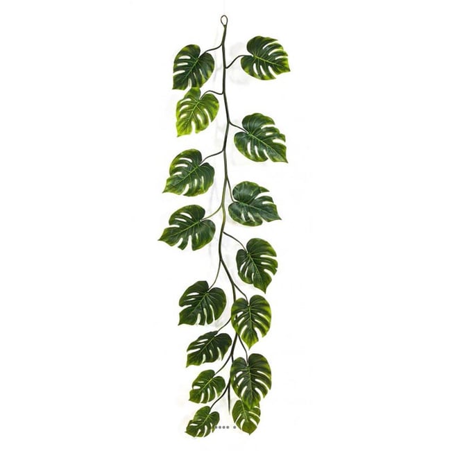 Guirlande de feuilles de philodendron H 230 Couleur v002239 <span itemprop=