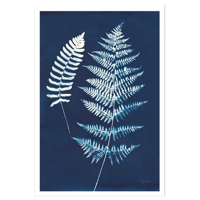 Affiche Duo fougères bleues - HEXOA