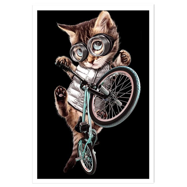 Affiche enfant bmx chat - HEXOA