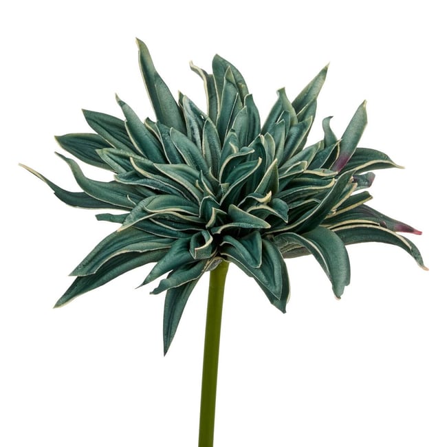 Tige décorative Homy H.55cm - ATMOSPHERA