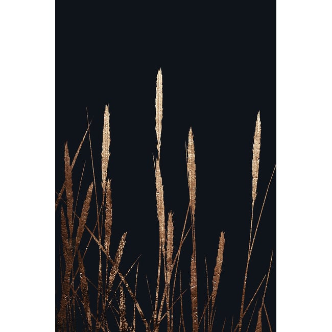 Tableau blés dorés - HEXOA