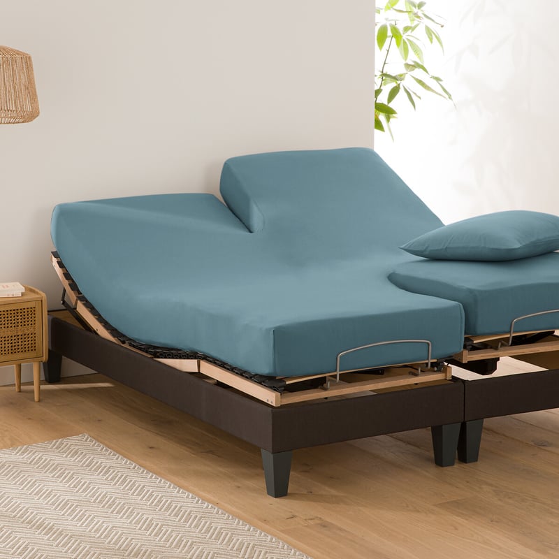 La Redoute Interieurs Uni-fixleintuch Für Verstellbares Doppelbett Scenario, Baumwolle