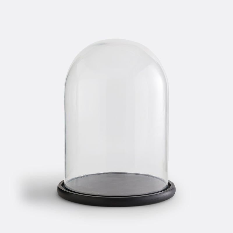 La Redoute Interieurs Glasglocke Mit Schwarzem Sockel Campa, H. 32 Cm