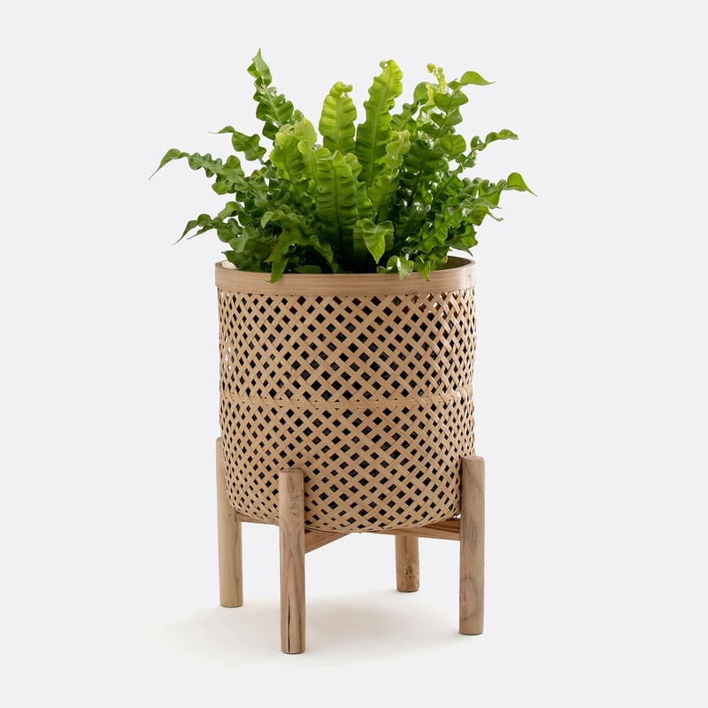 La Redoute Interieurs Übertopf Bambu Mit Fuss, Bambus, Ø 31,5 Cm