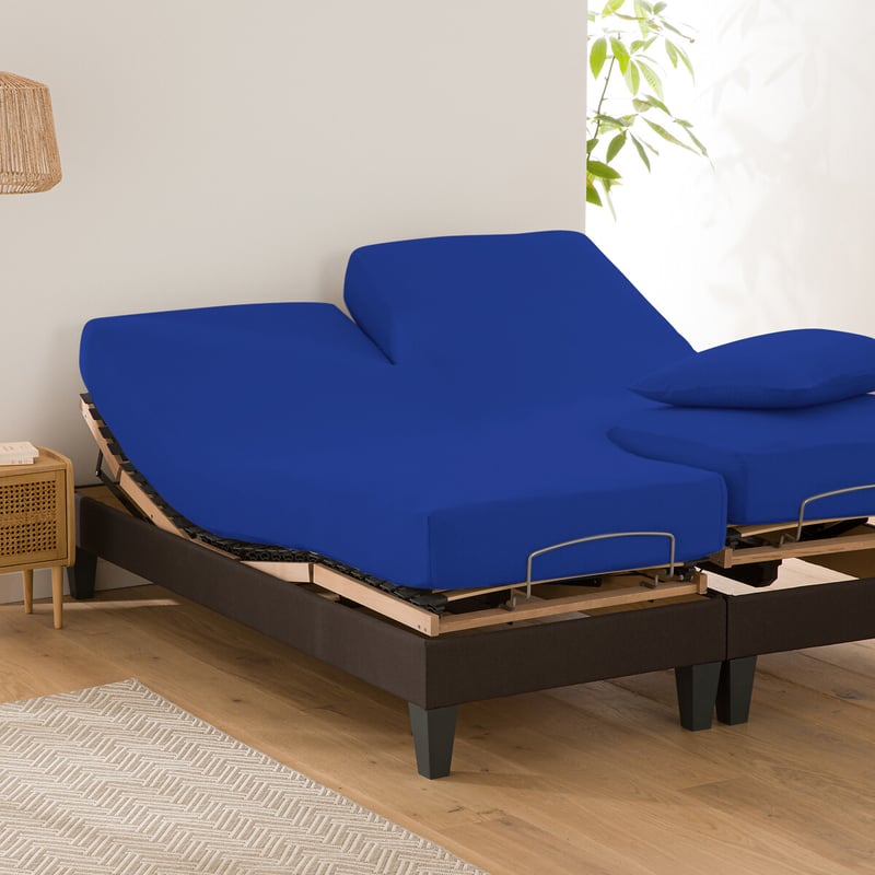 La Redoute Interieurs Uni-fixleintuch Für Verstellbares Doppelbett Scenario, Baumwolle