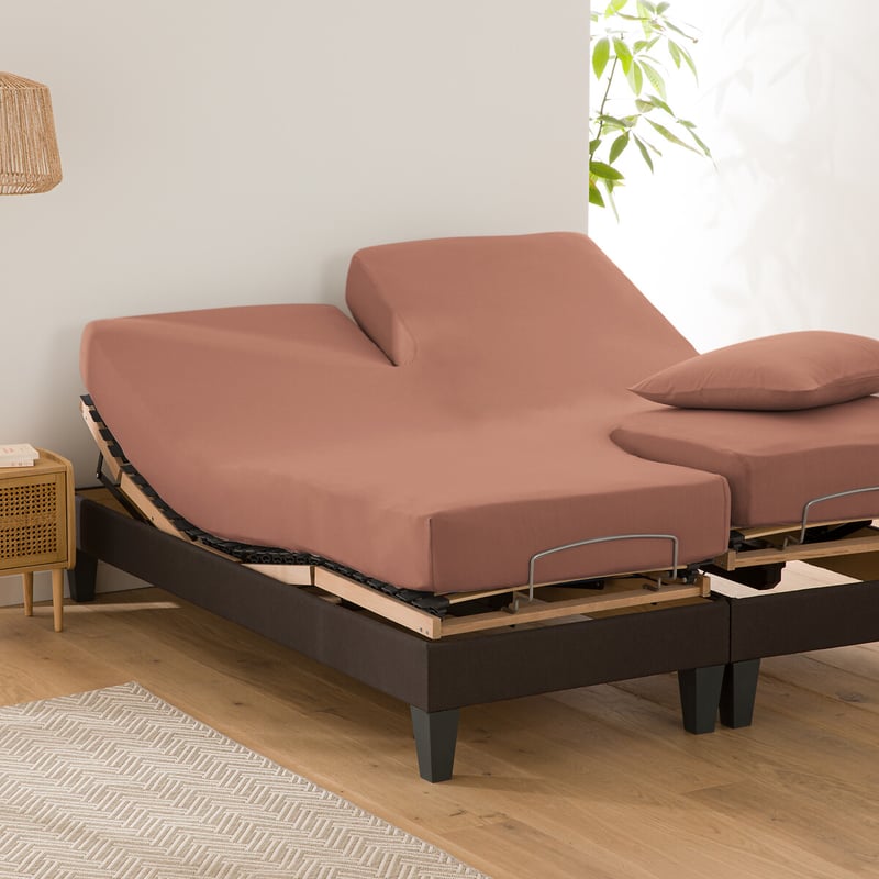 La Redoute Interieurs Uni-fixleintuch Für Verstellbares Doppelbett Scenario, Baumwolle