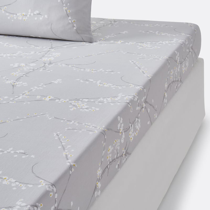 La Redoute Interieurs Fixleintuch Natsumi, Baumwoll-satin