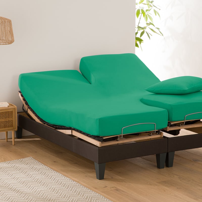 La Redoute Interieurs Uni-fixleintuch Für Verstellbares Doppelbett Scenario, Baumwolle