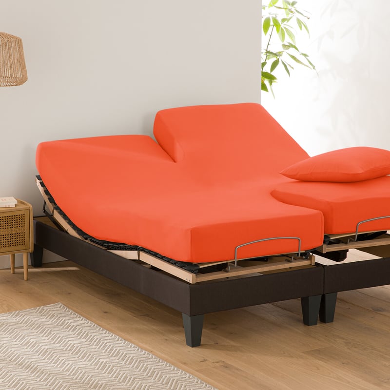 La Redoute Interieurs Uni-fixleintuch Für Verstellbares Doppelbett Scenario, Baumwolle