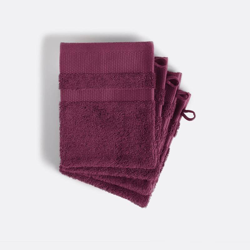 La Redoute Interieurs 4er-pack Waschhandschuhe Kheops Aus Gekämmter Baumwolle 600g/m2