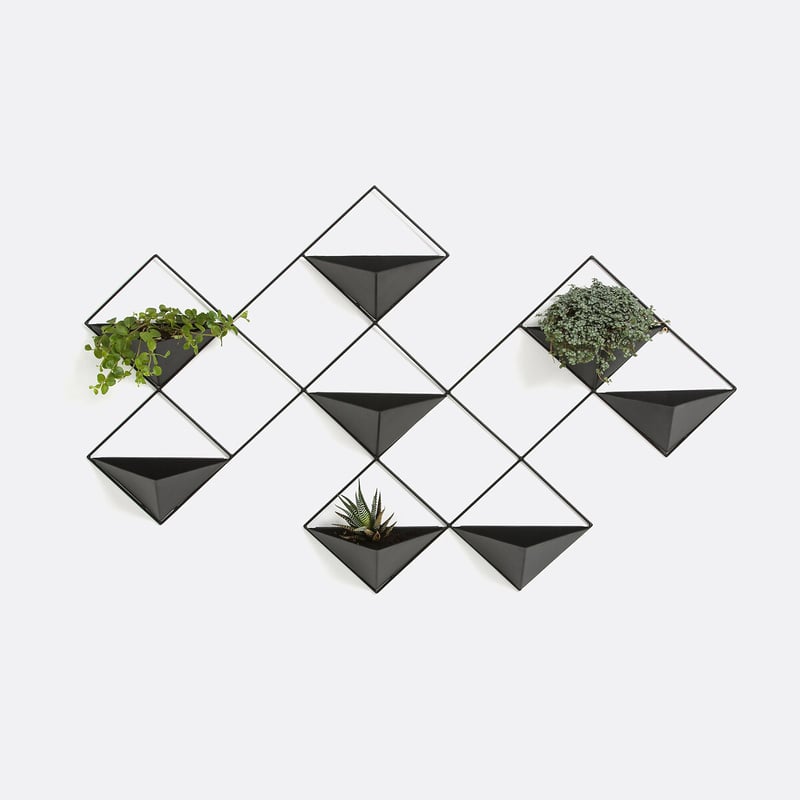 La Redoute Interieurs Pflanzenhalter Ikebana, Metall, Wandbefestigung