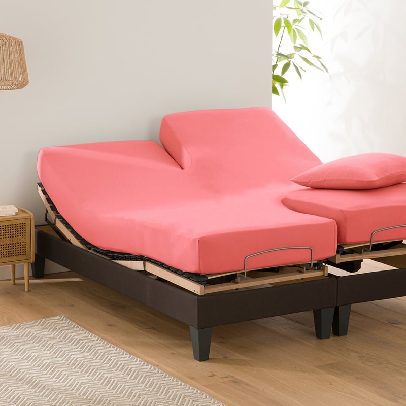 La Redoute Interieurs Uni-fixleintuch Für Verstellbares Doppelbett Scenario, Baumwolle