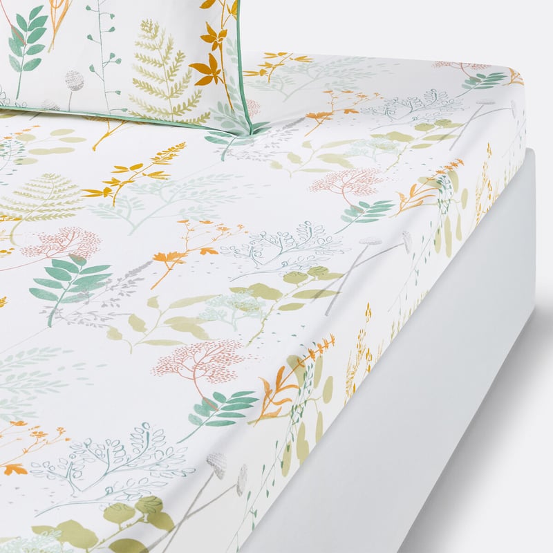 La Redoute Interieurs Fixleintuch Herbarium Aus Baumwollperkal