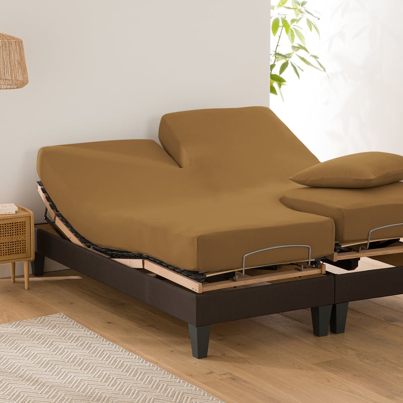 La Redoute Interieurs Uni-fixleintuch Für Verstellbares Doppelbett Scenario, Baumwolle