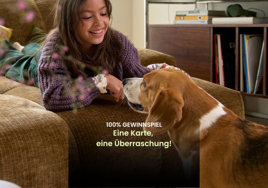 100% GEWINNSPIEL