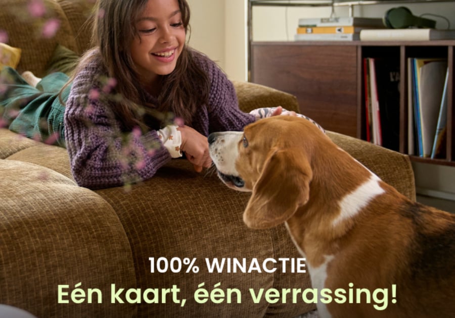 Speel het 100% WINNENDE spel!