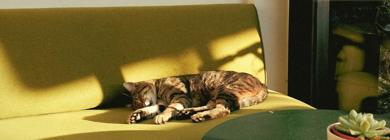 Sofa Bed: The sleeping solution for your summer guests!