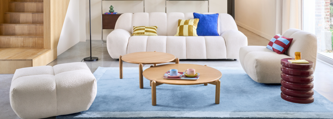 Living Room Rug Ideas: The Ultimate Guide to Choosing the Perfect Option