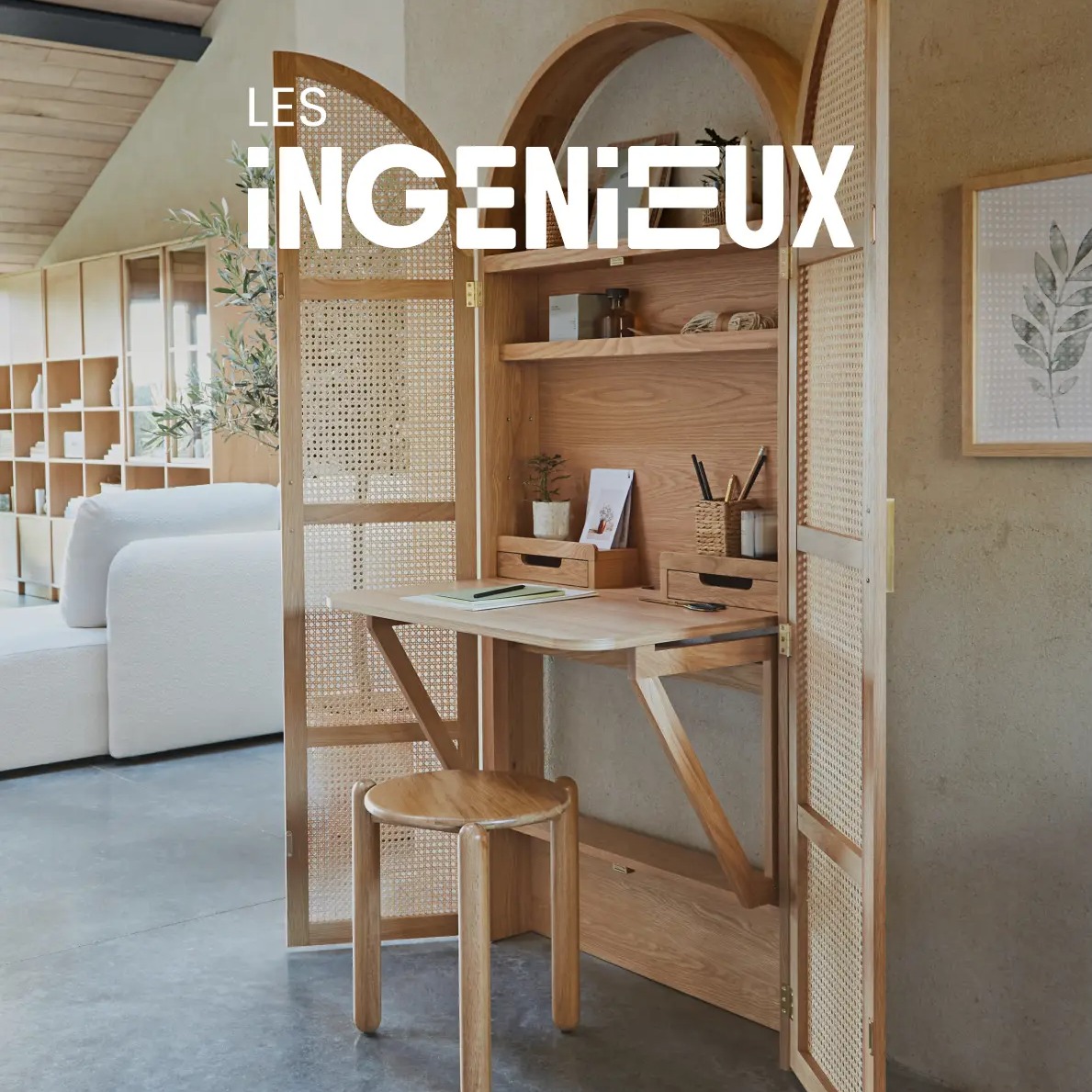 Les Ingénieux