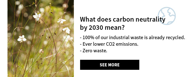 What does carbon neutrality by 2030 mean?