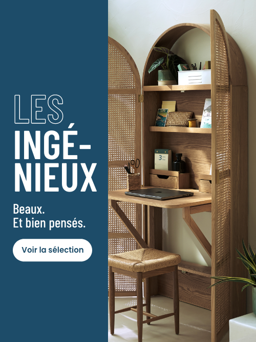 Les Ingénieux