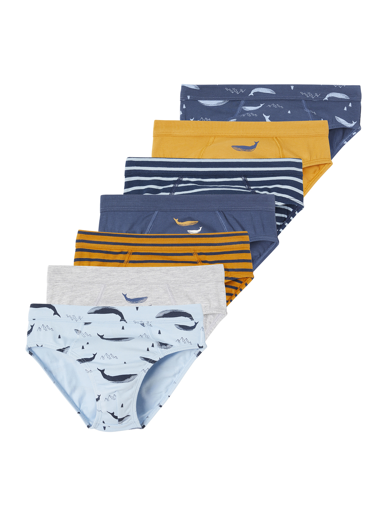 Lot de 7 slips stretch baleines en coton bio, VERTBAUDET