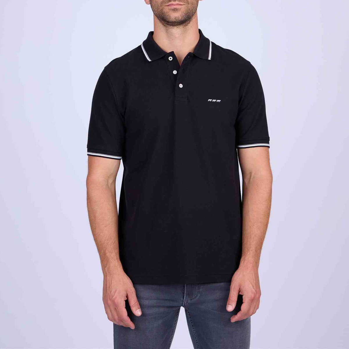 Polo alban, MISE AU GREEN