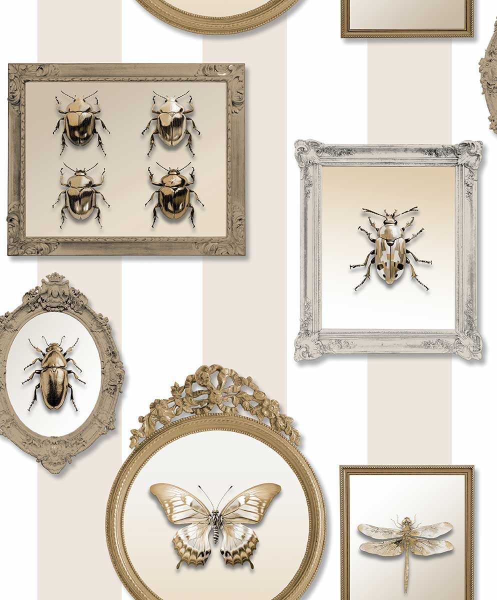 Papier peint entomologie insectes dorés cadres, HEXOA