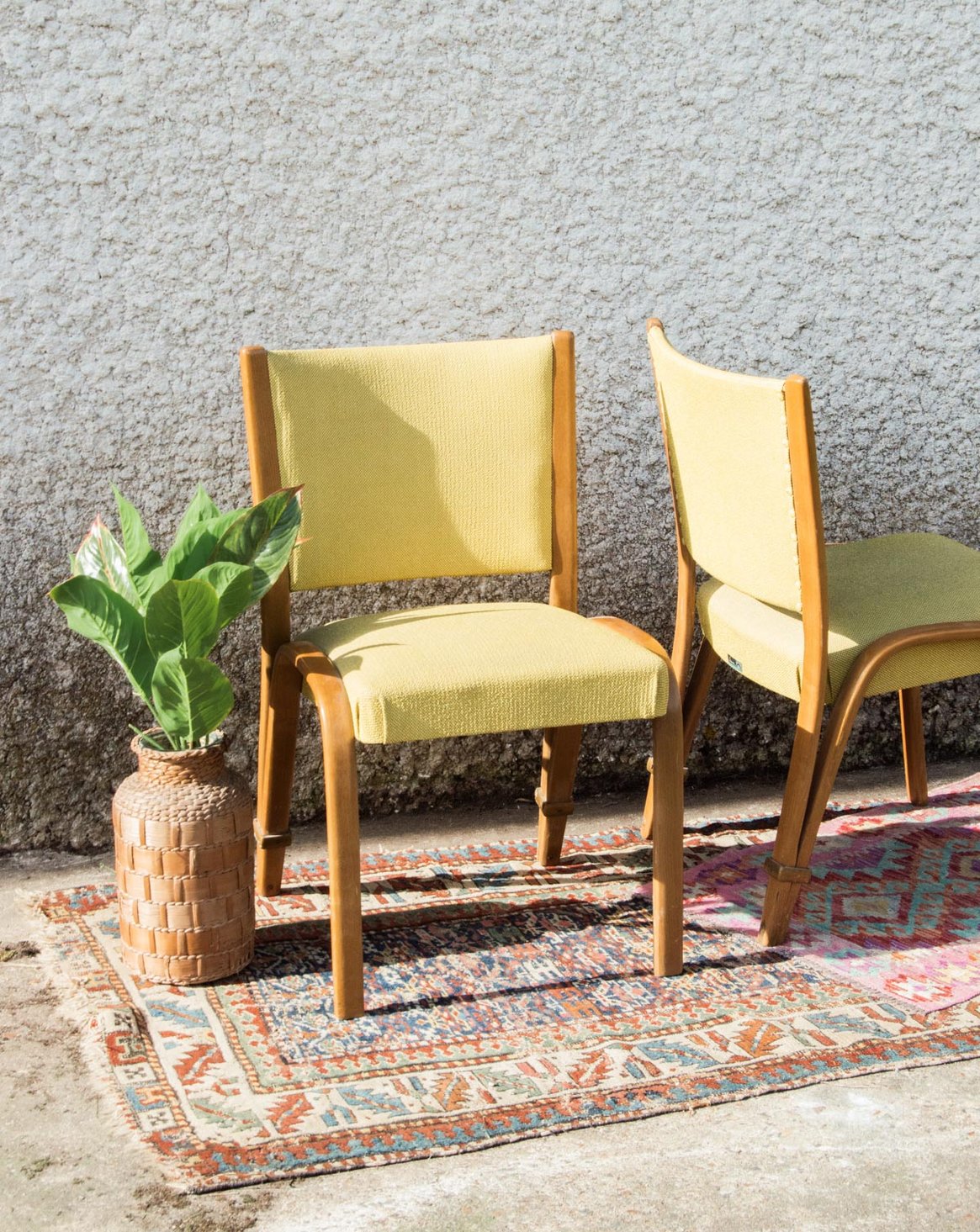 Paire de chaises Steiner Alma N°293 - Bon état, DEBONGOUT