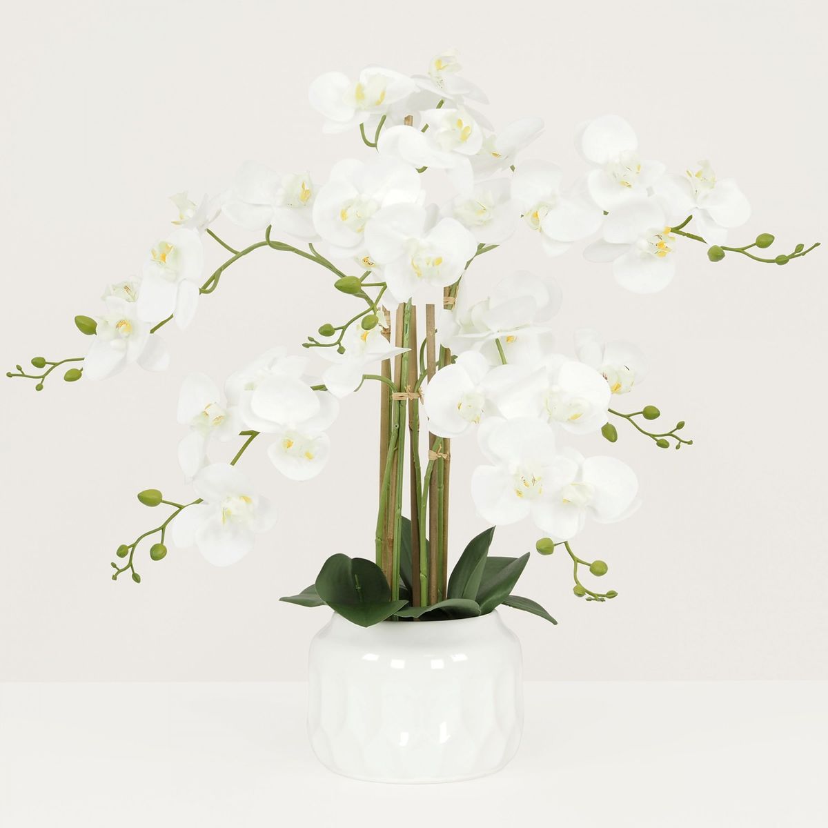 Orchidées artificielles blanches 135cm Couleur blanc Ligne Deco