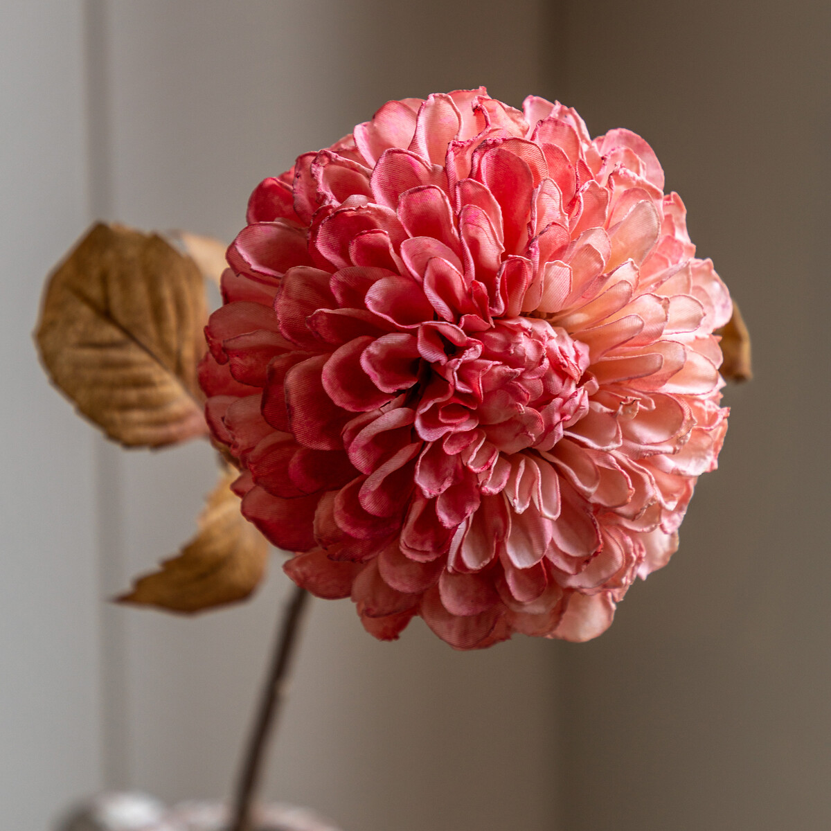 6pk 73cm Dahlia Faux Stems, ÉDITÉ